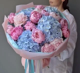 Çəhrayı pion və açıq mavi hortenziya