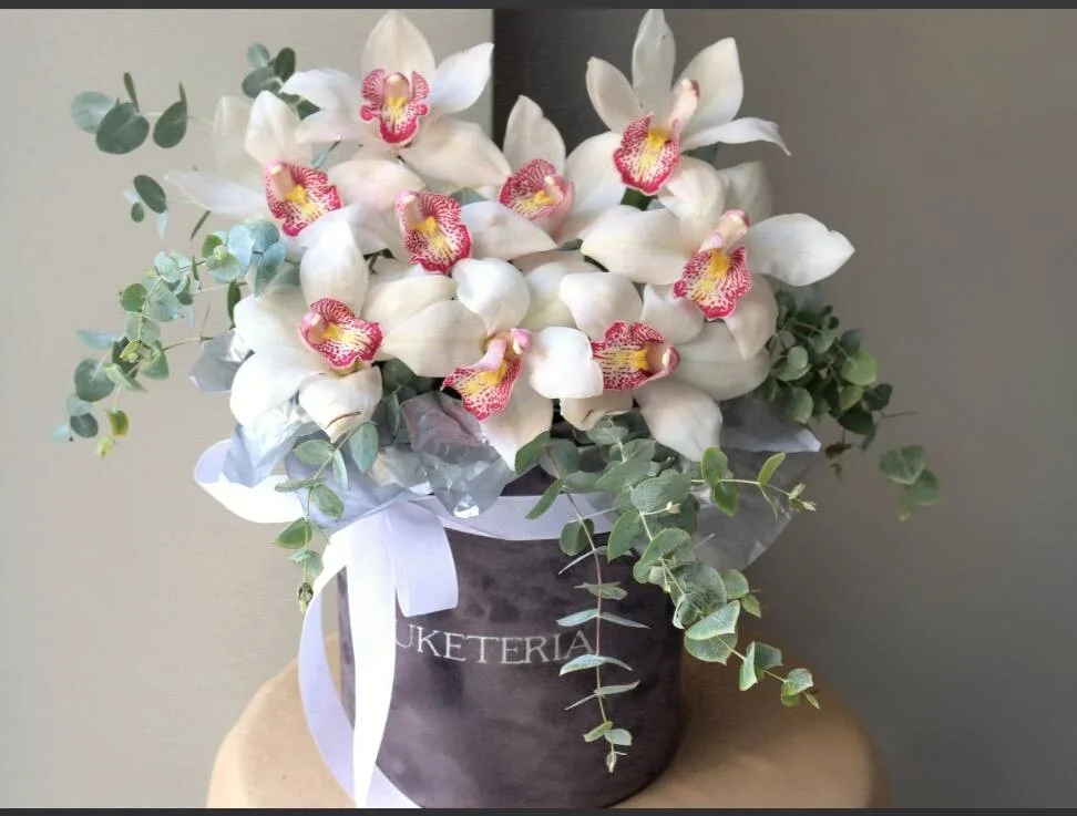 Qutuda doqquz simbidium orkideyası