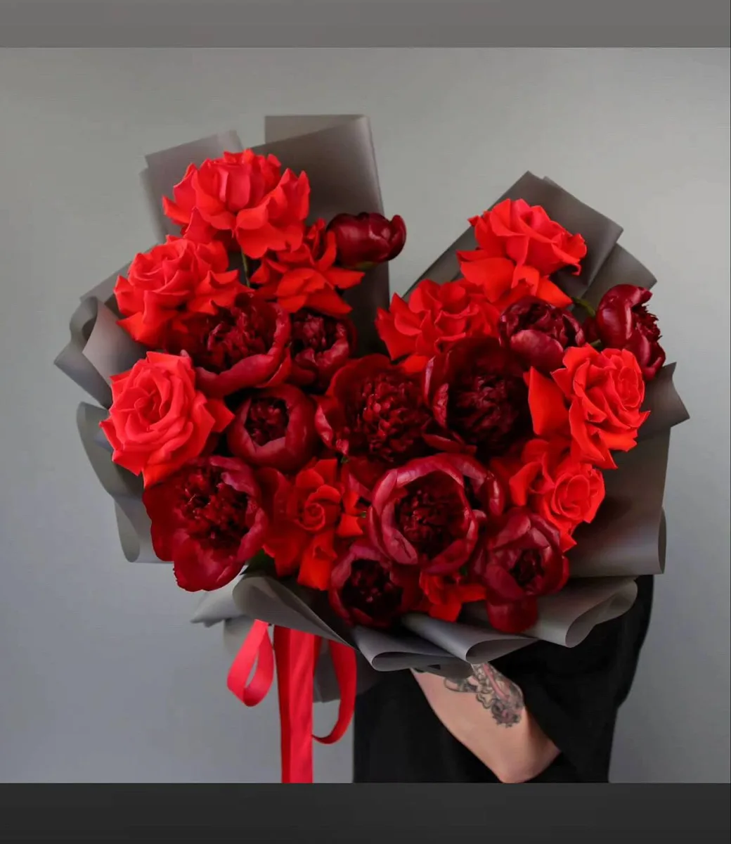 Burgundiya pion və qırmızı hibrid çay qızılgülü