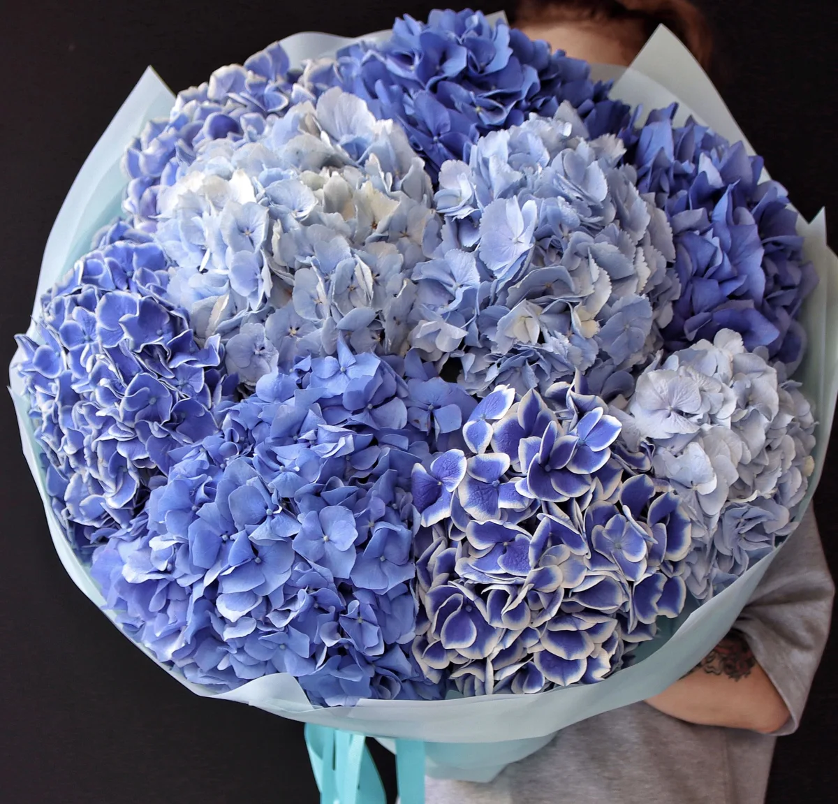 Doqquz mavi hortenziya su keçirməz kağızda