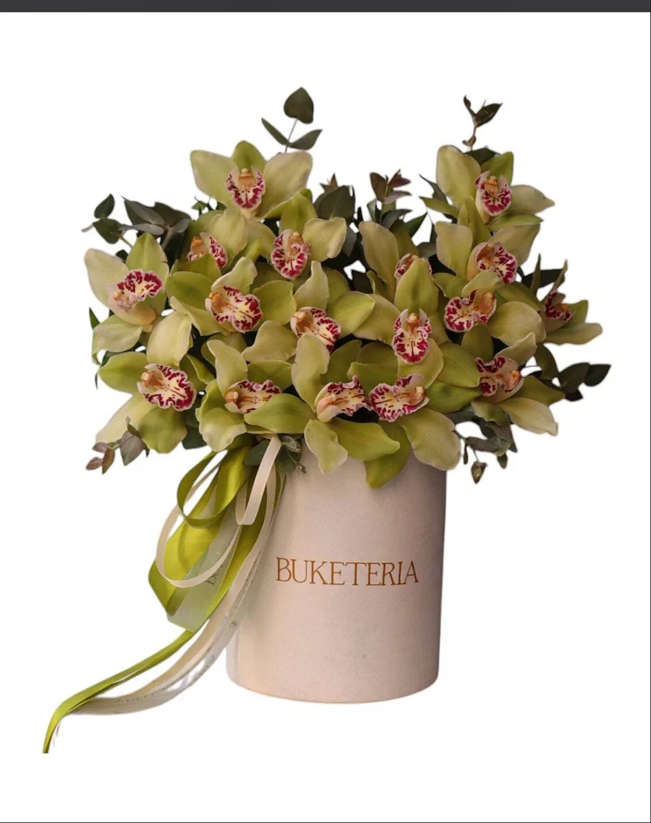 Yaşıl simbidium orkideyası ilə dekorativ kompozisiya