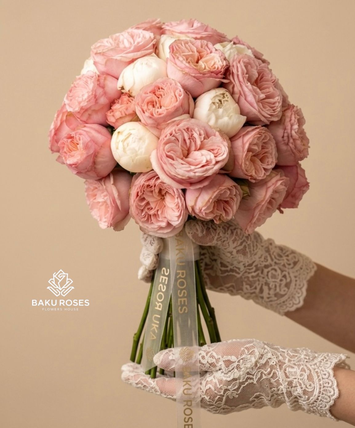 Peony White 7, Gentle Trendsetter 8