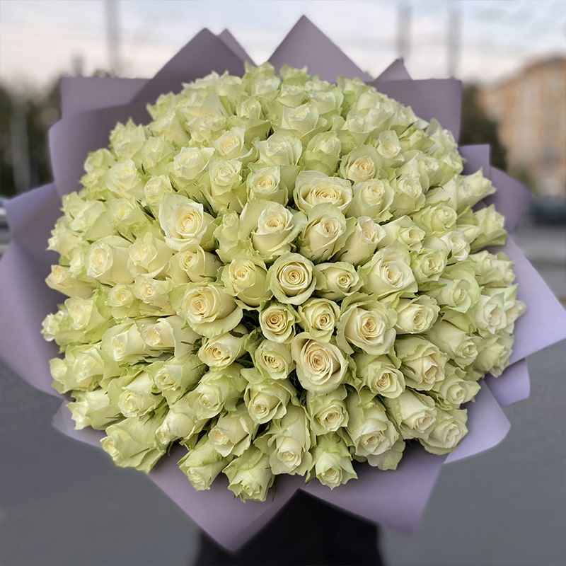 101 Qızılgül - code:5014