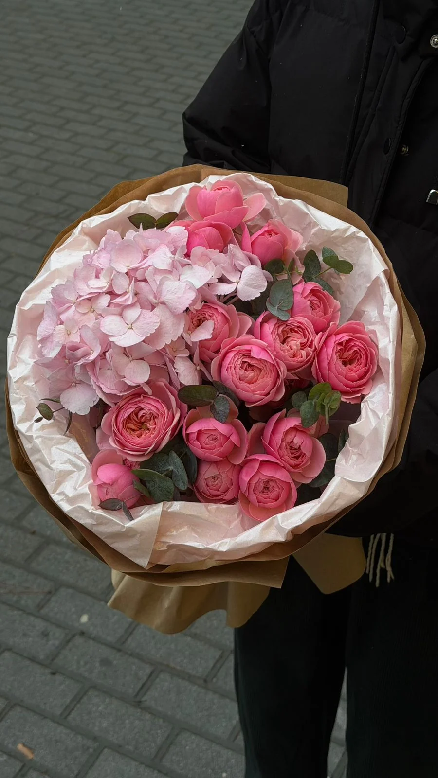 Çəhrayı hortenziya və bağ Pink Silva qızılgülü