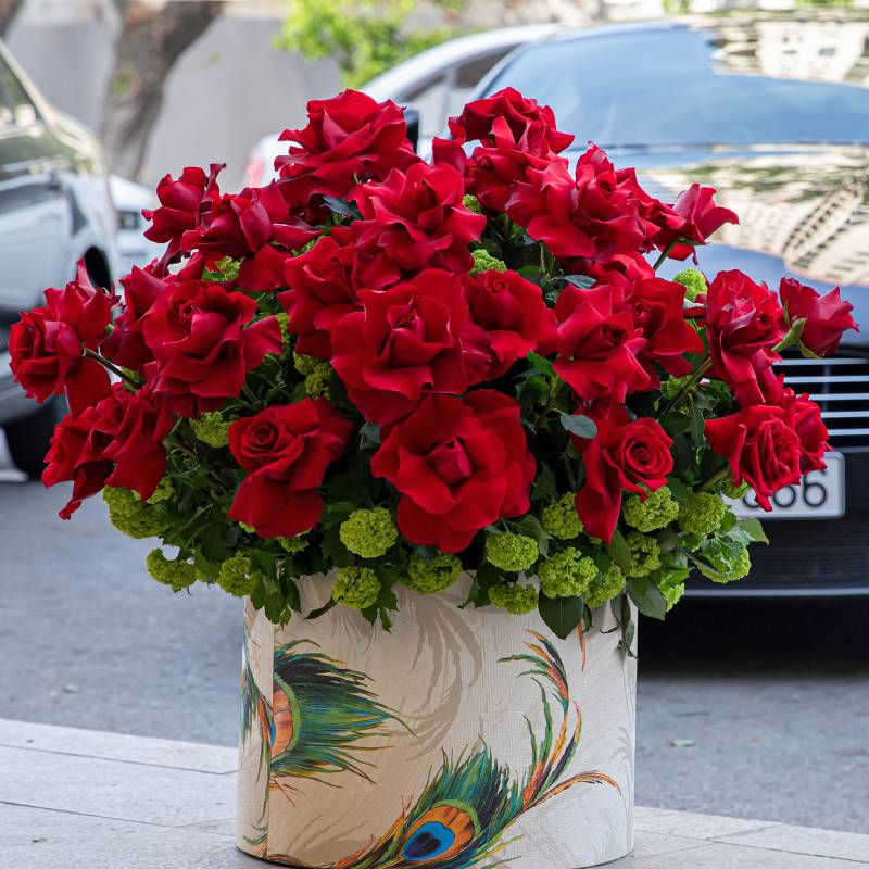 Holland Qızılgülləri - code:5069