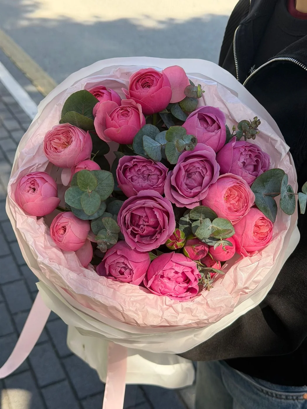 Bağ Pink Silva qızılgülü və Misty Bubbles