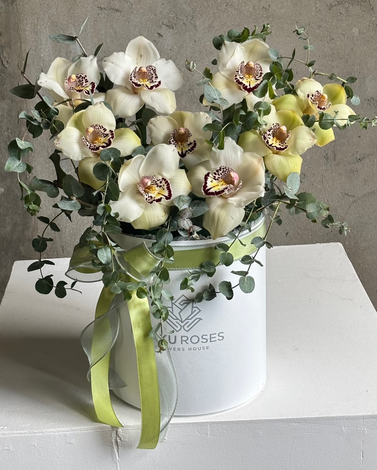 Cymbidium White Box