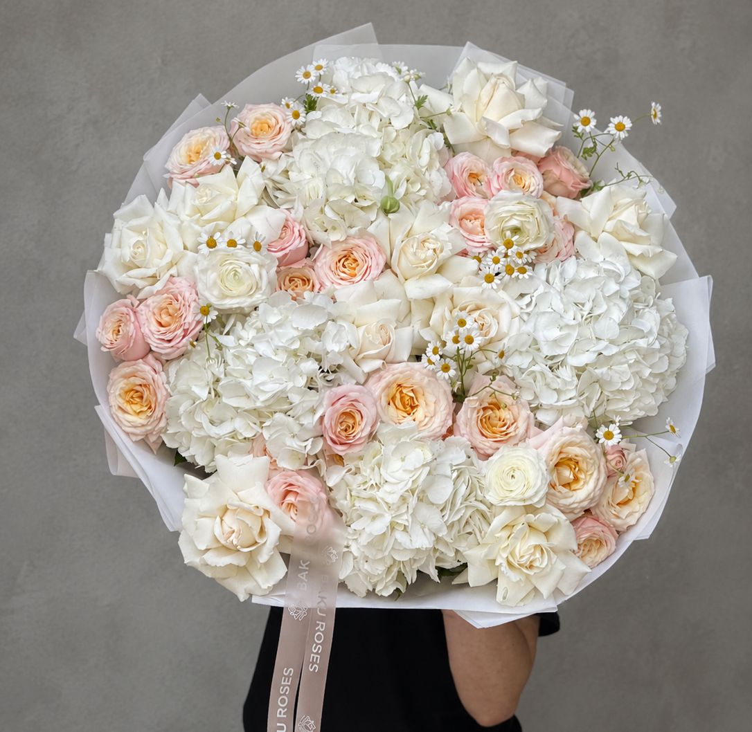 Blush Dream