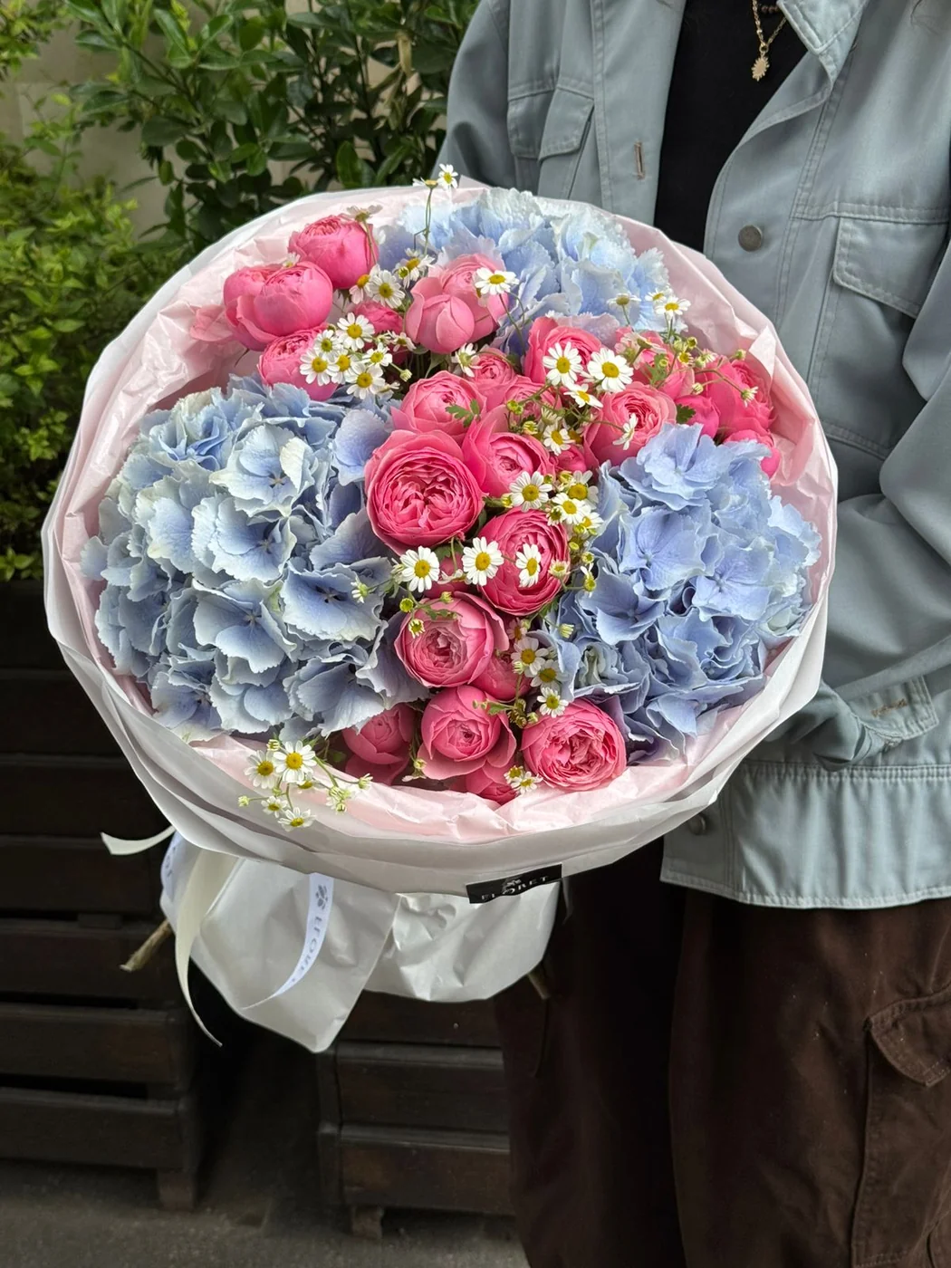 Hortenziya, matrikariya və bağ Pink Silva qızılgülü