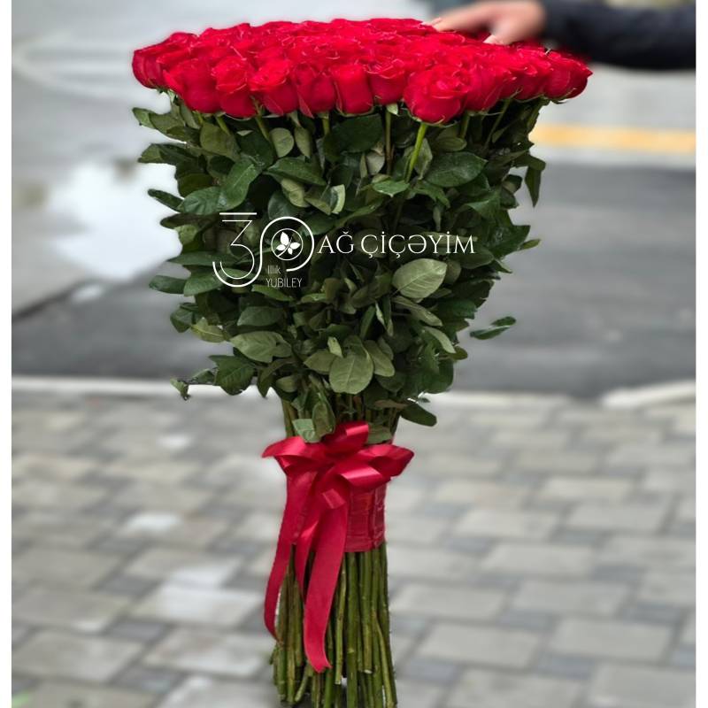 101 (1.20 sm) Qırmızı Qızılgül 
