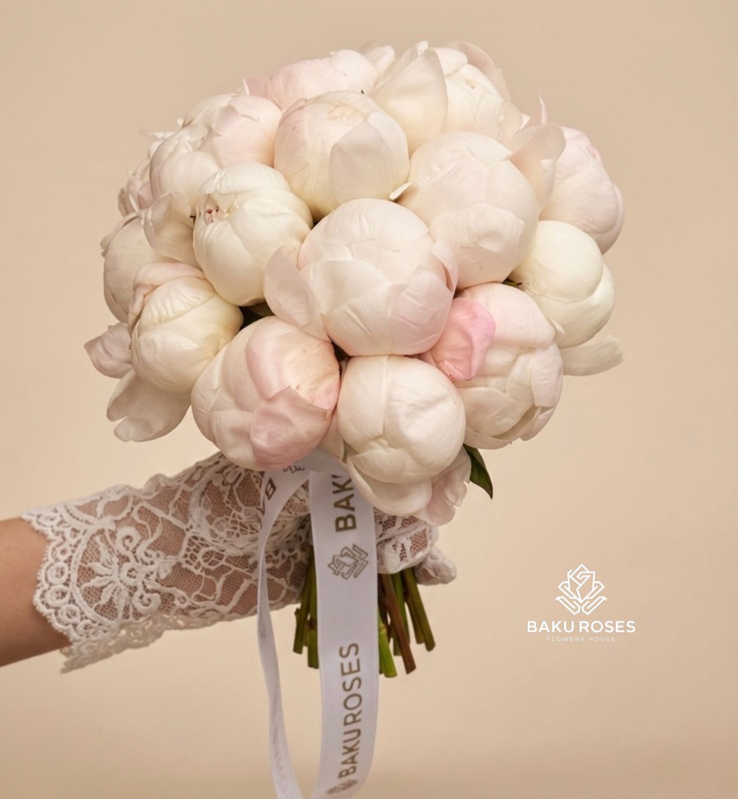 Peony 17