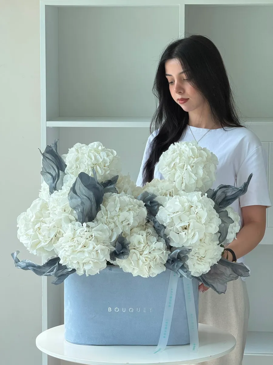 Ağ rəngli Hydrangea Dyson M