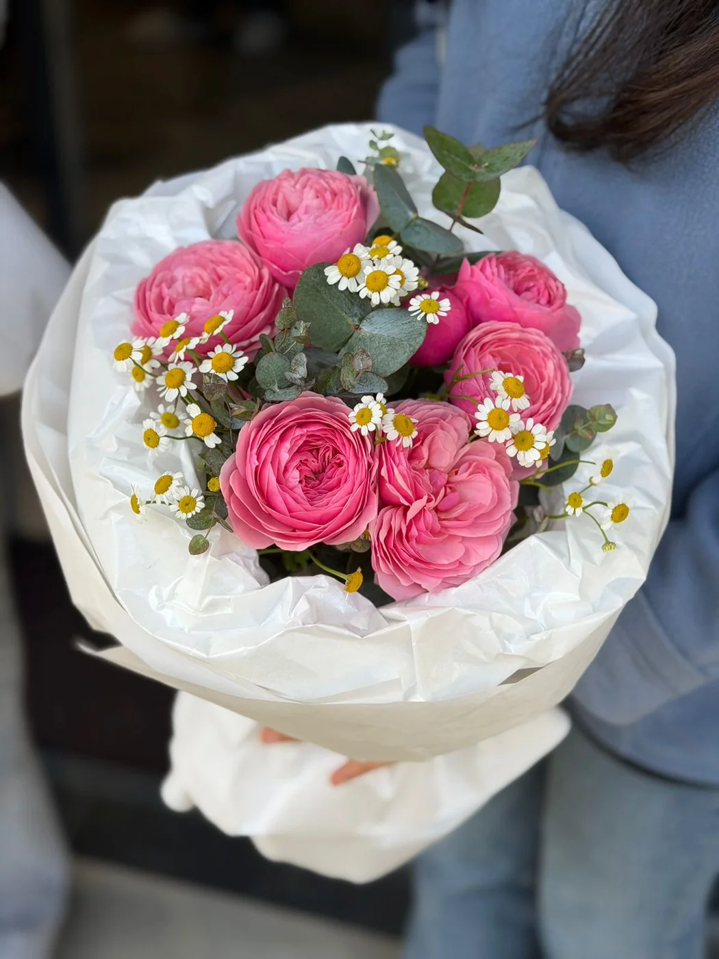 Matrikariya və bağ Pink Silva qızılgülü