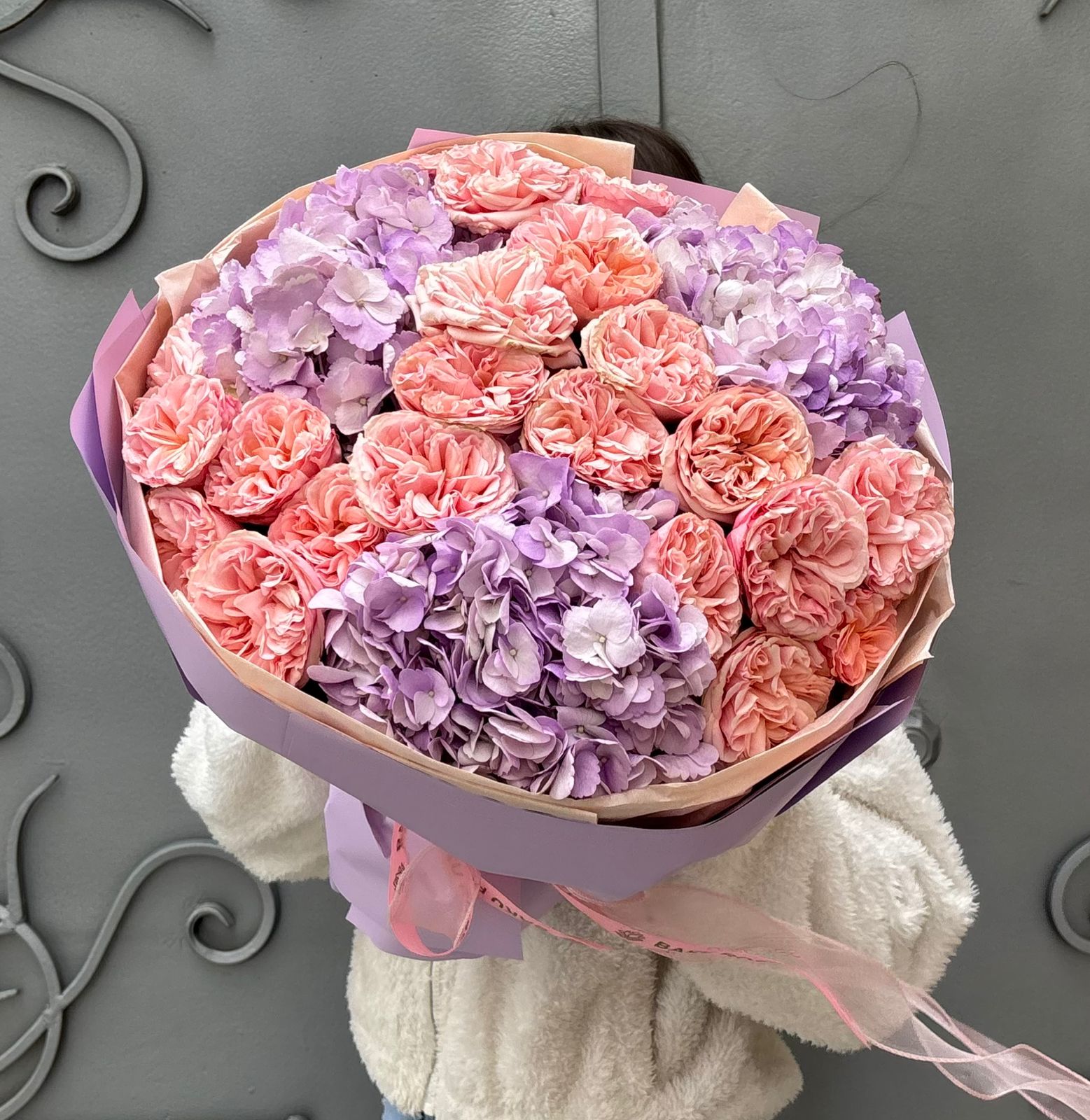 Hydrangea Purple 3,Gentle Trendsetter 7