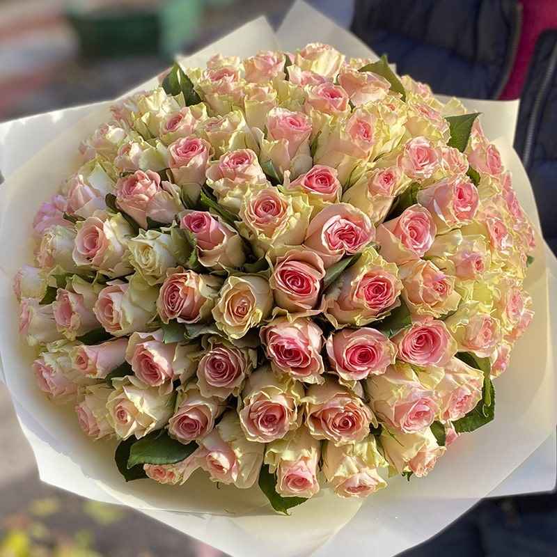 101 Qızılgül - code:5009