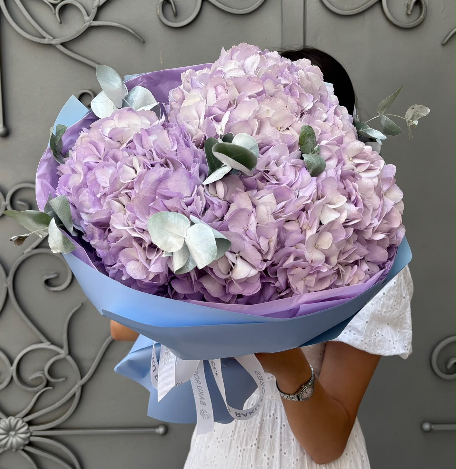 Hydrangea Lilac 3