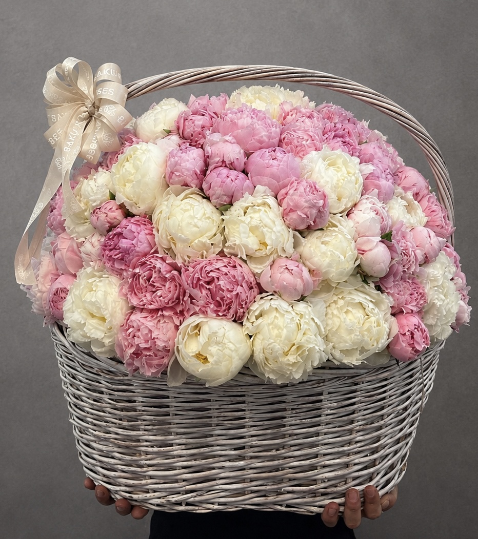 101 Paeonia Mix