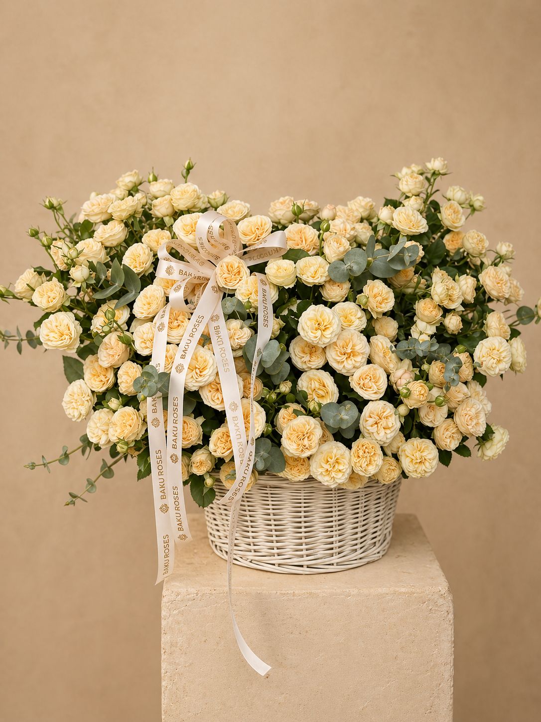 Səbət Gentle Trendsetter 25
