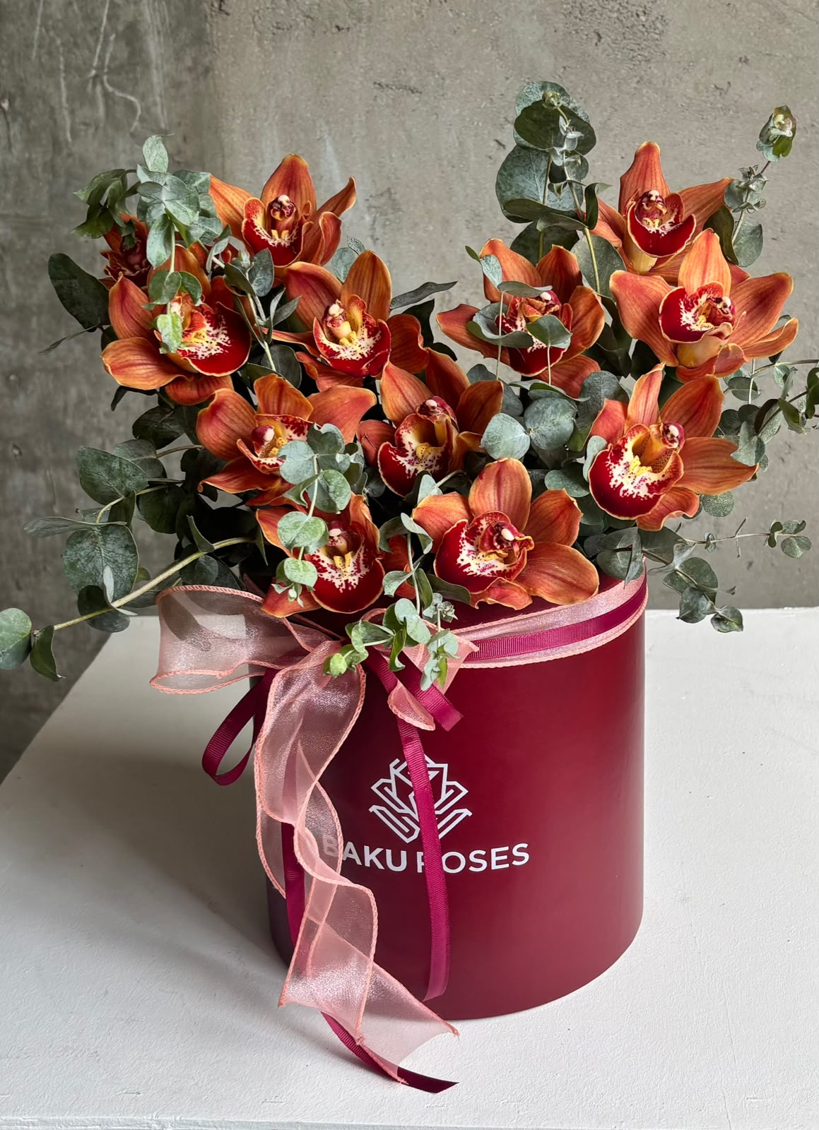 Cymbidium Orange Box