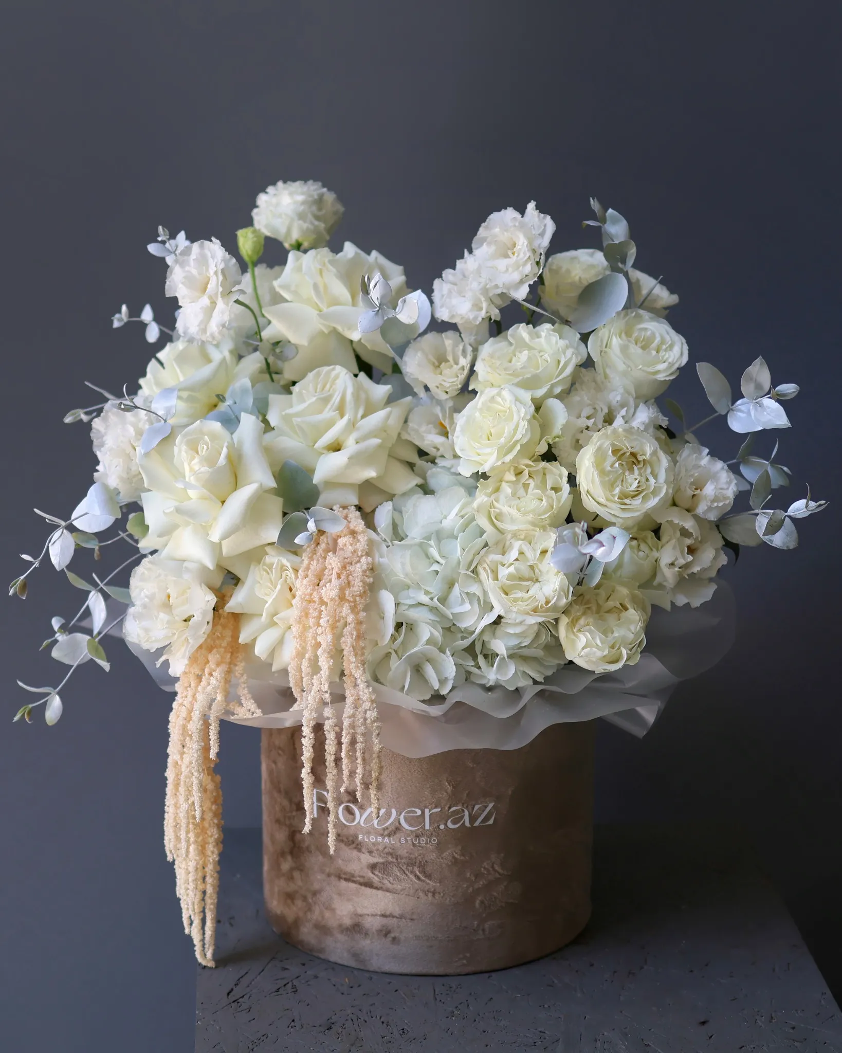 Ivory Cascade Kompazisiya