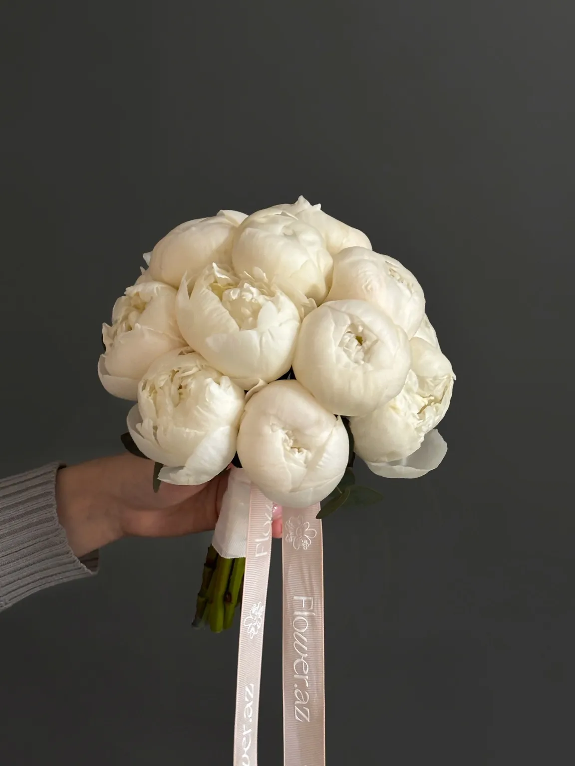 White Bride Paeonia 11