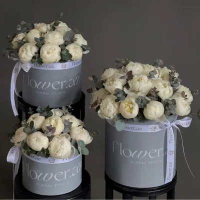 Ivory Bloom Box S-M-L Sizes