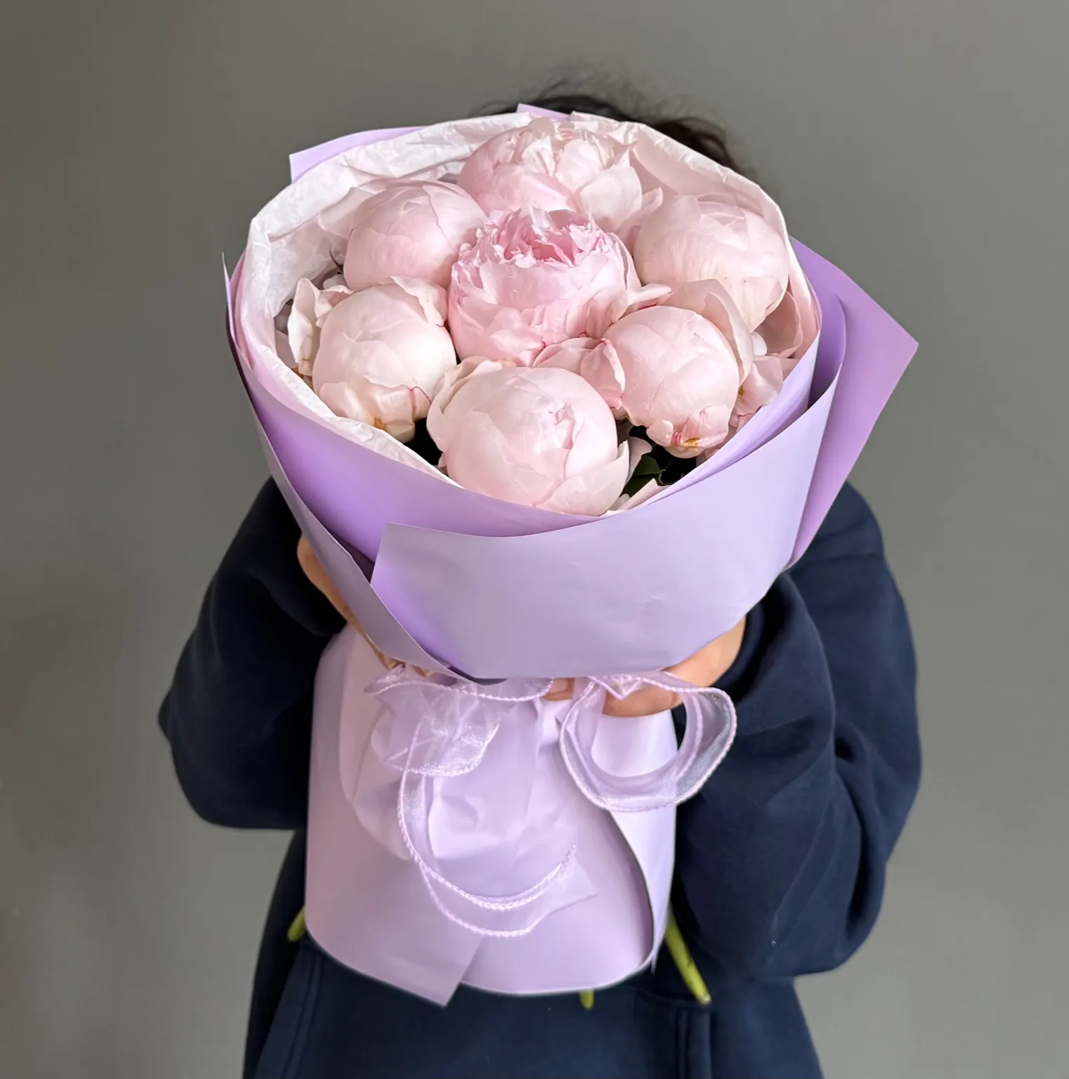Paeonia Nicol 7 (M)