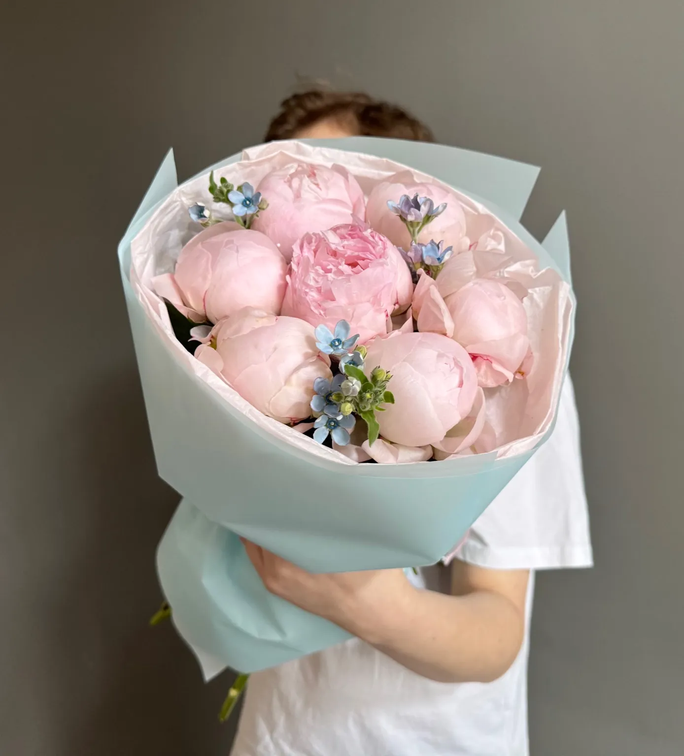 Paeonia Nicol 7, Oxypetalum 3 (M)