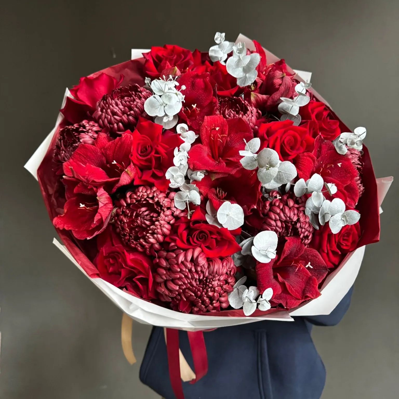 Bordo Elegance (L)